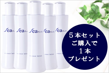 seaグレイス5本セット